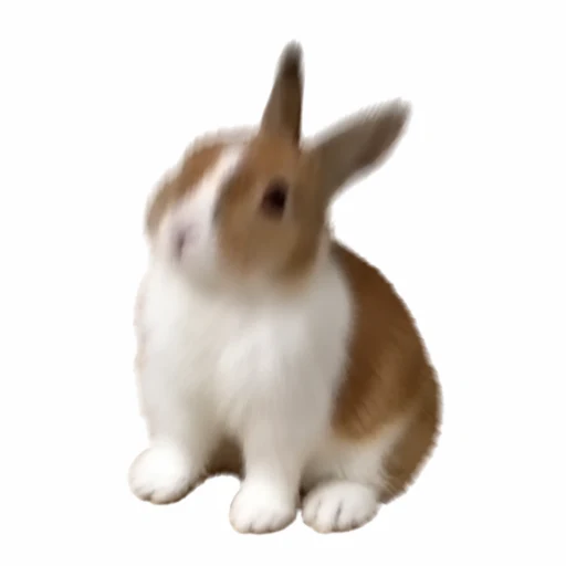 boing