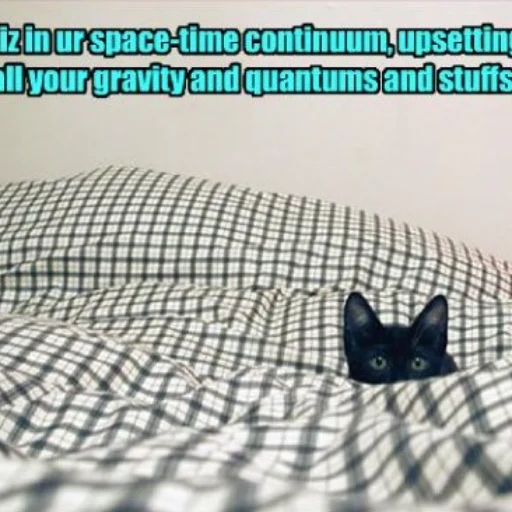 lolcat