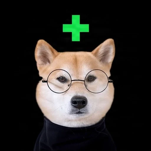 +inu