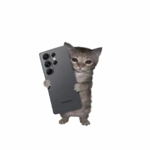 sam