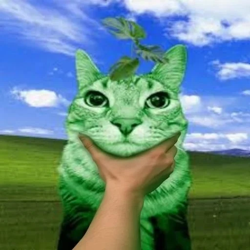 hold