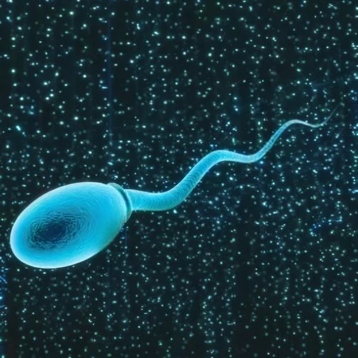 Quantcum