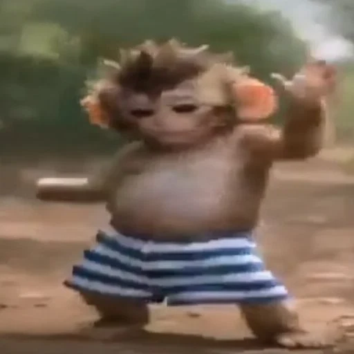 fonk