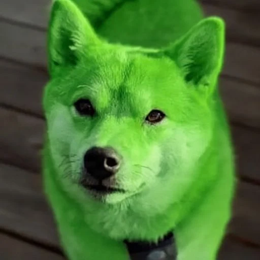 PEPE