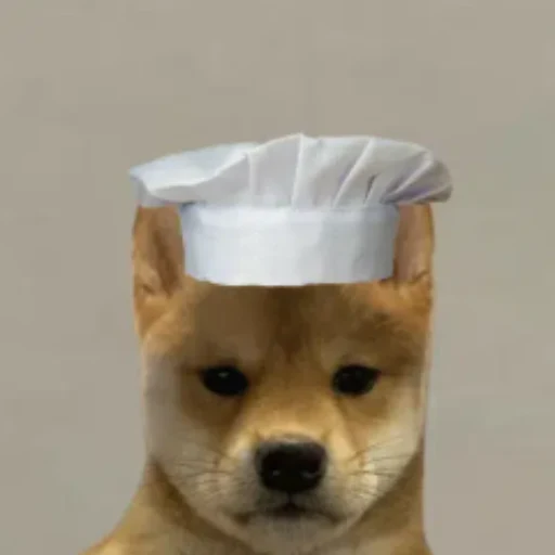 cook