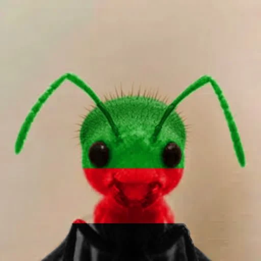 ANT