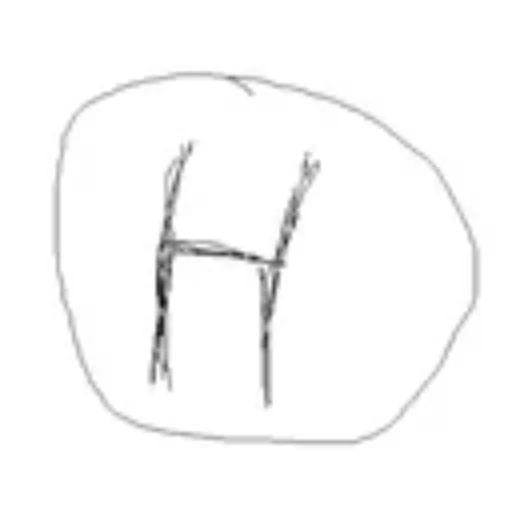 HUMAN
