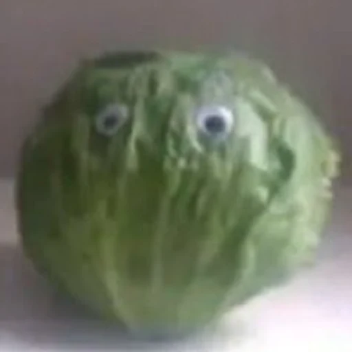 Lettuce