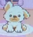 Puppy