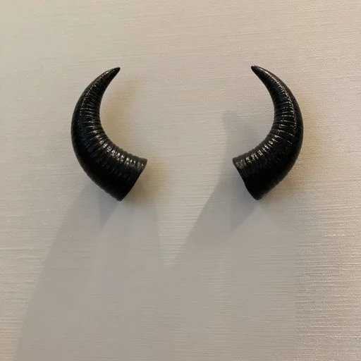 HORNS