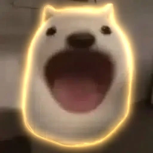 POPDOG