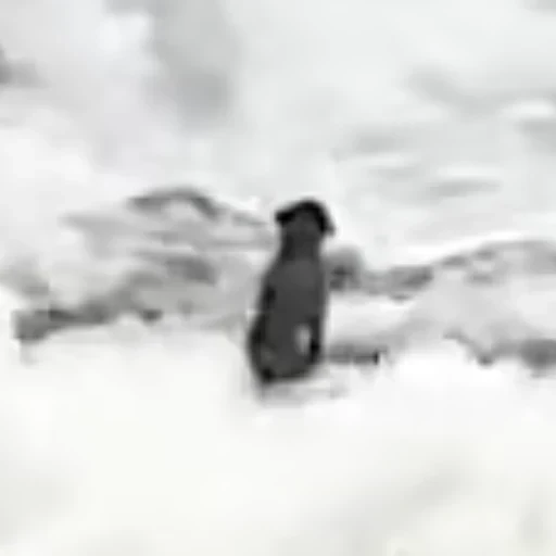 DIC
