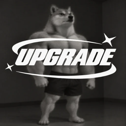 UPGRADE