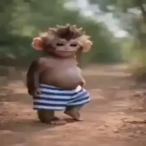 Monke