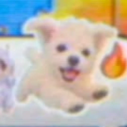 STORMDOG