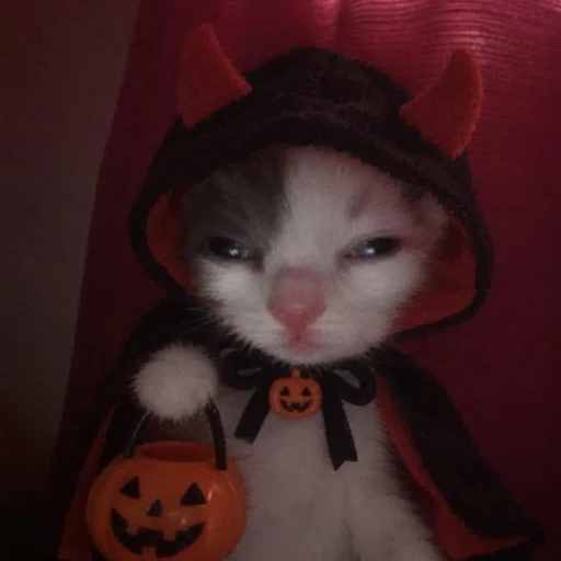 Boo