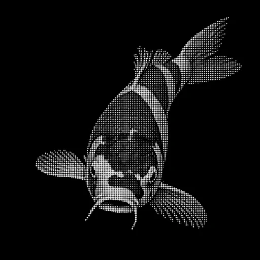 Koi