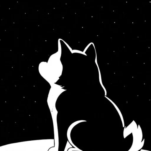 DOGE