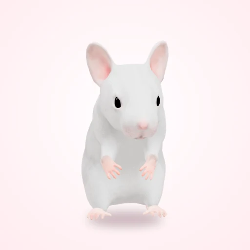 GEORGE
