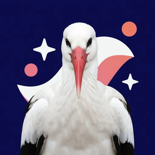 STORK