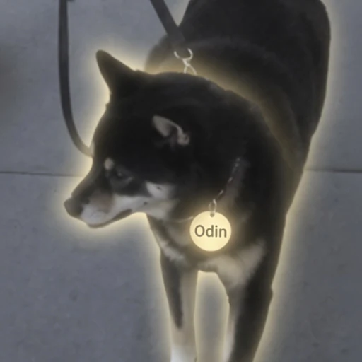 ODIN