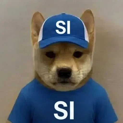 SI