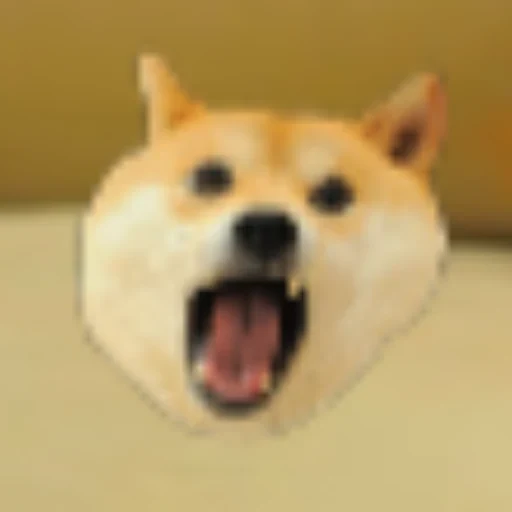 POPDOGE