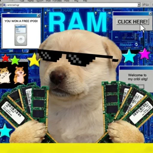 RAM