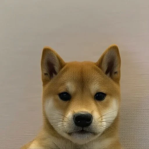 ACHI