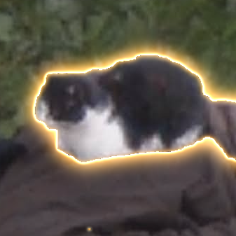 Whiskers