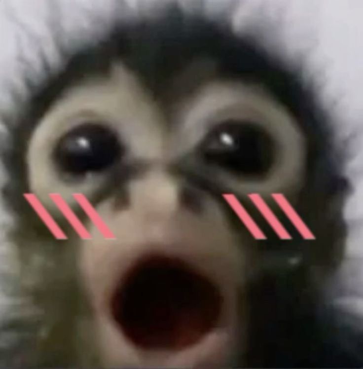 ape