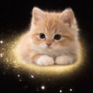 STARIMALS