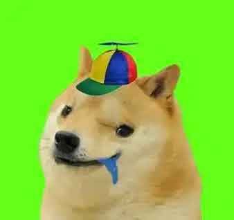 AutismINU