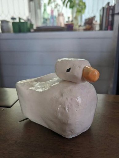 Duck