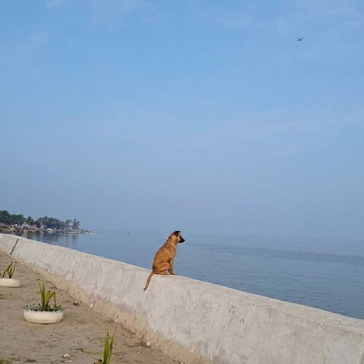 The Philosopher logo