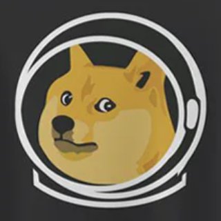 DOGE-1 logo