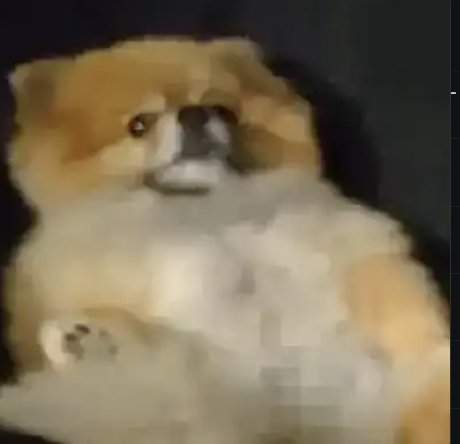 神