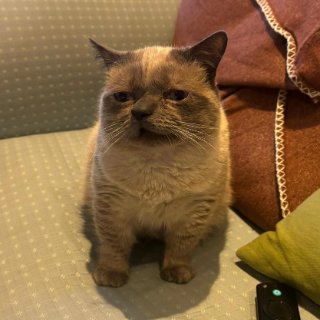 winston