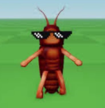 Roach