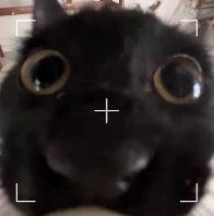 MANTA