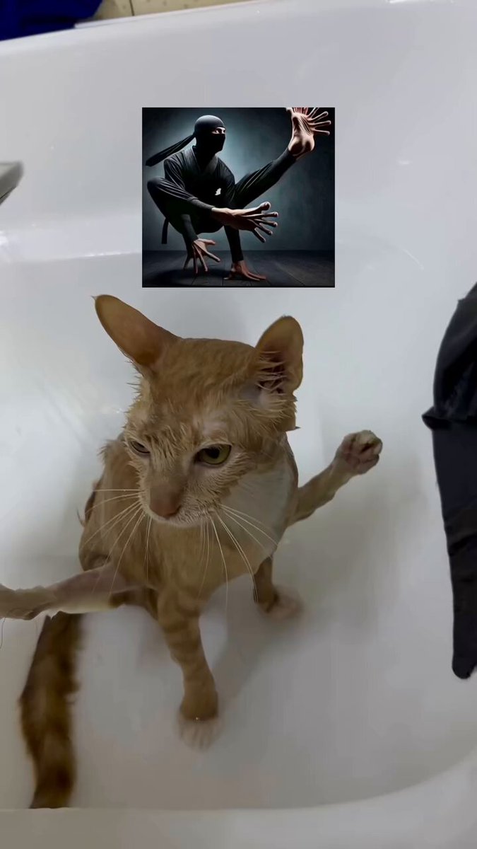 NINJACAT
