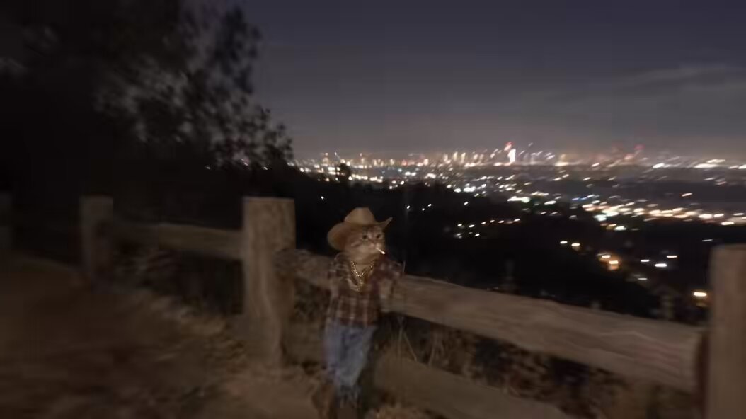 TEXCAT