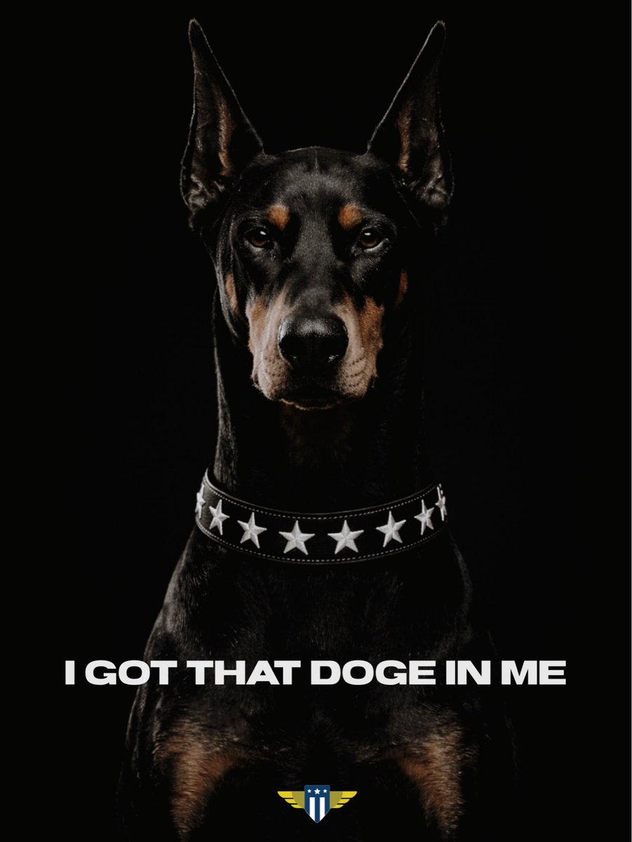 Doge