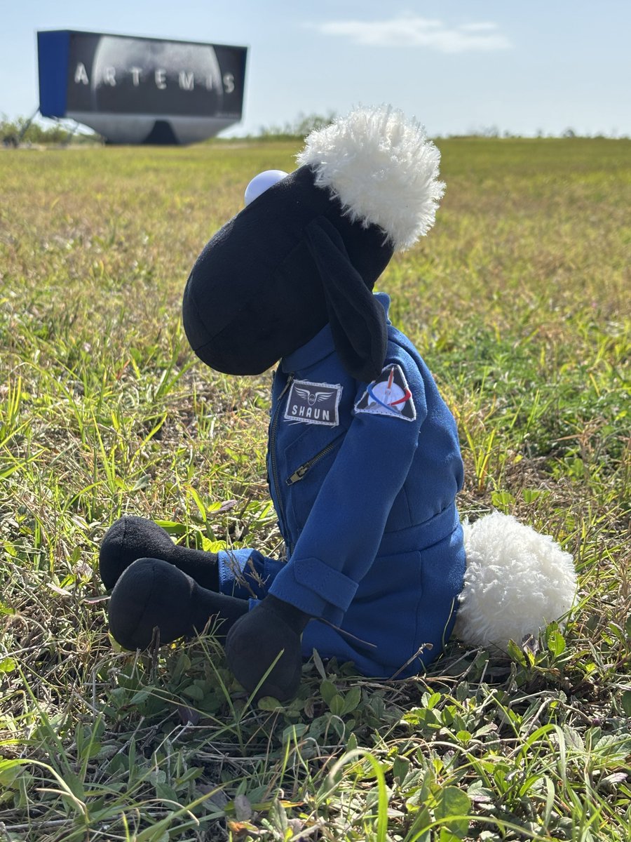 Shaun