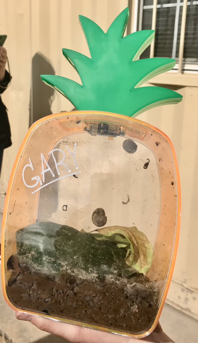 gary