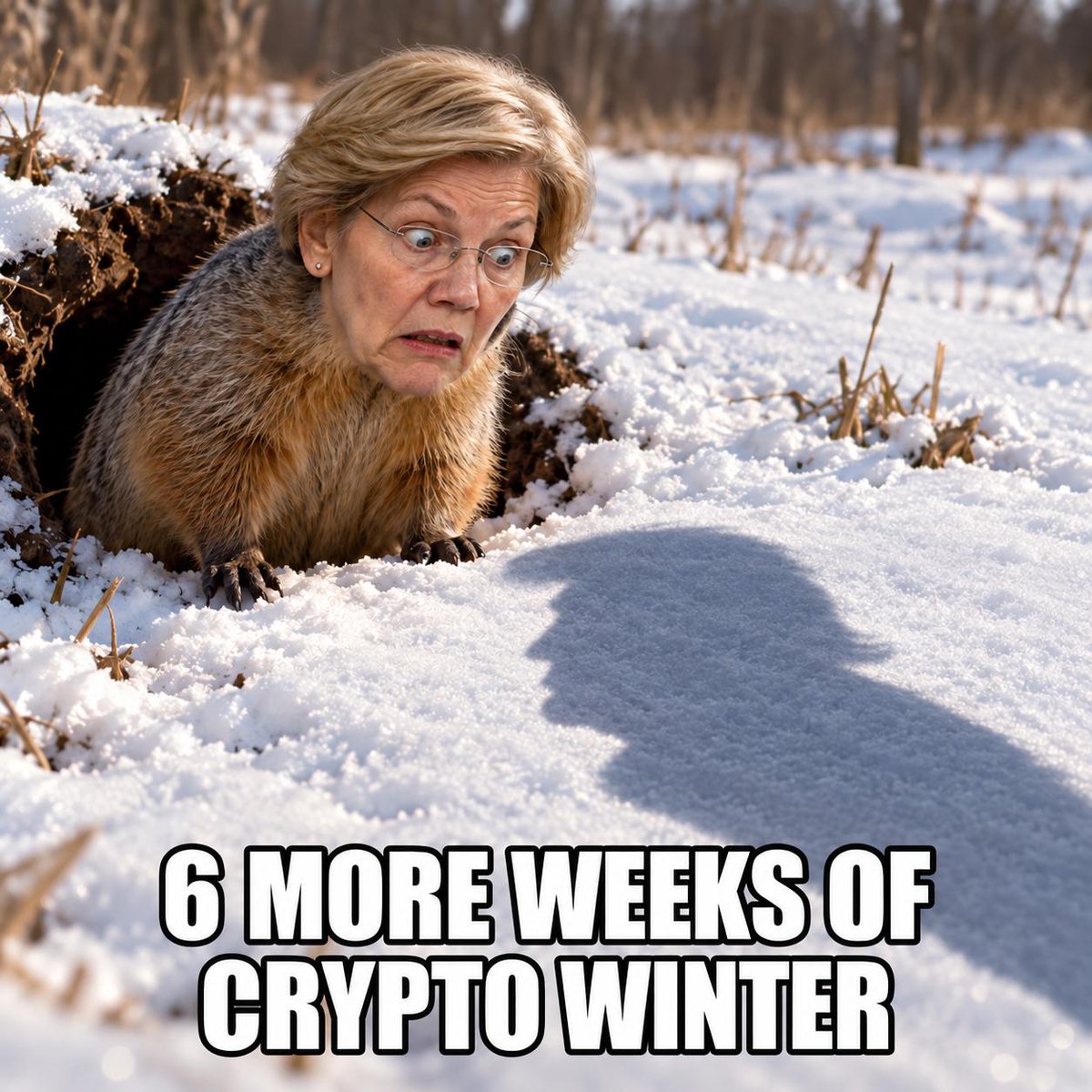 BEAVER
