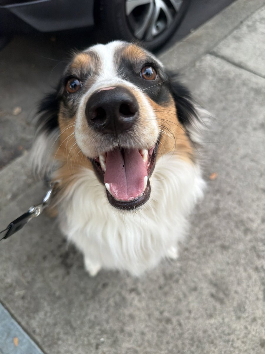 Oakley