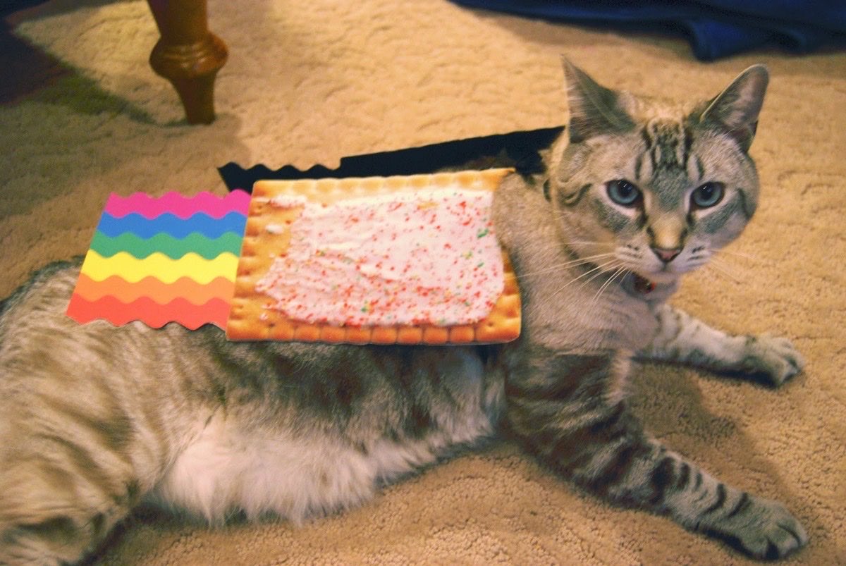 Nyancat