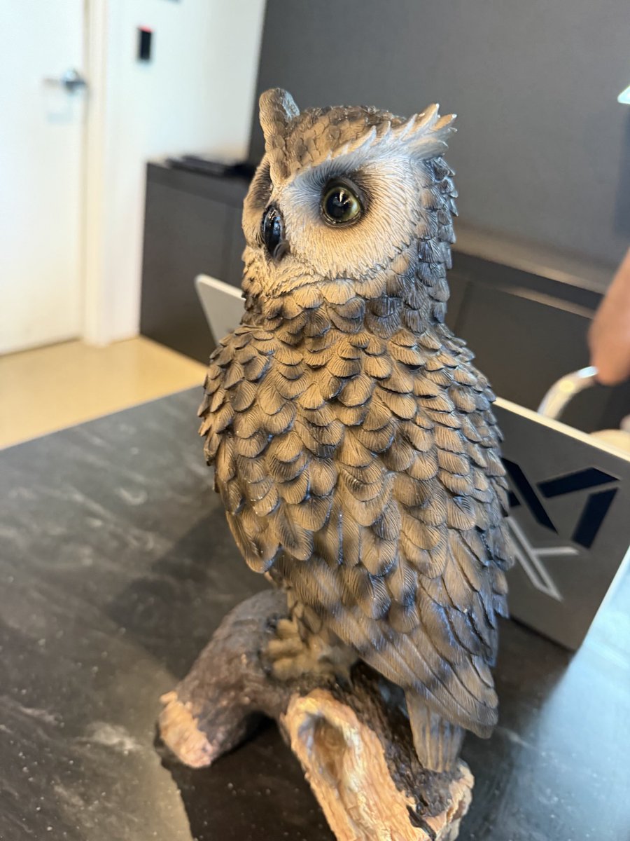 SXSI