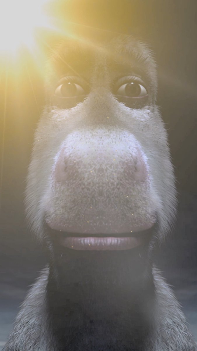 DONKEY